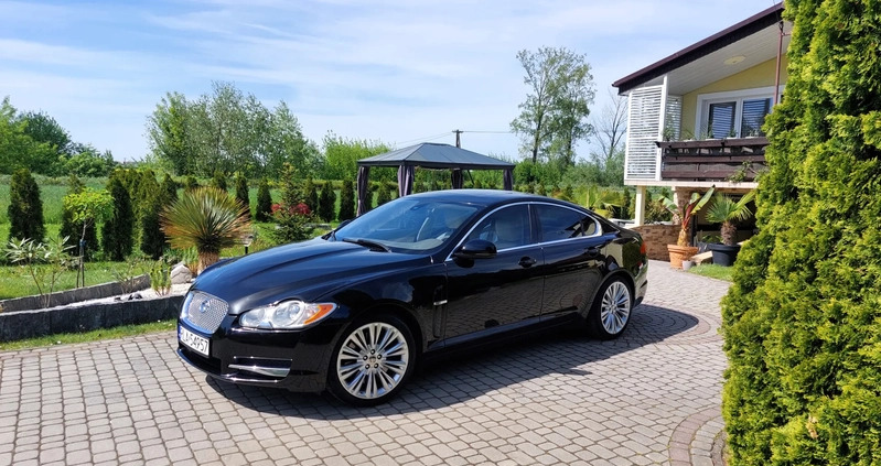 Jaguar XF cena 55000 przebieg: 99000, rok produkcji 2009 z Łańcut małe 37